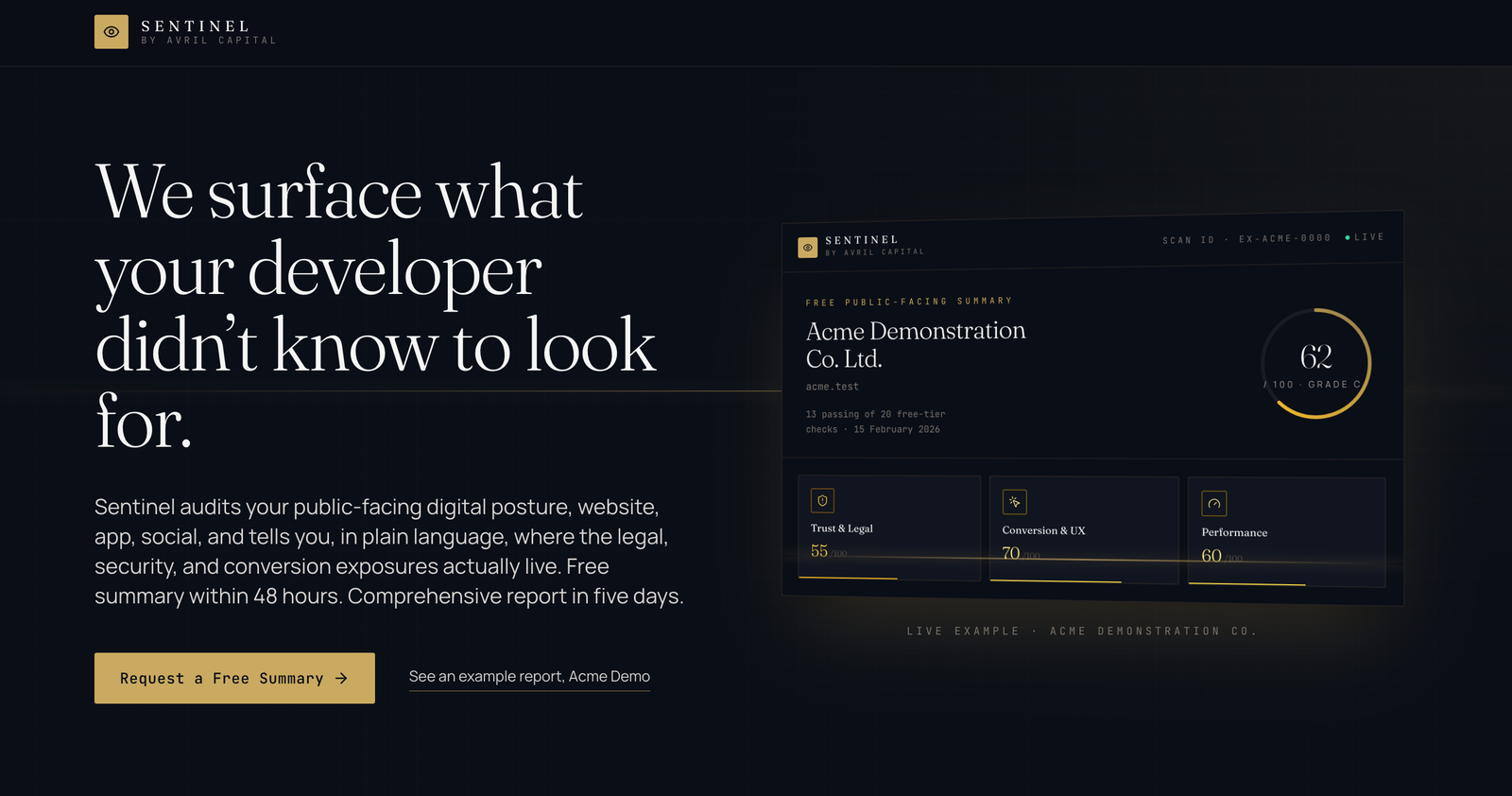 Sentinel Platform - Public-Facing Digital Posture Audit